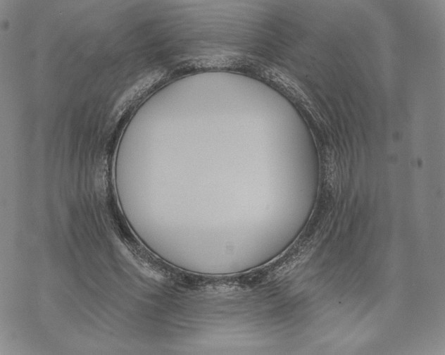 X0000072490586200608041418