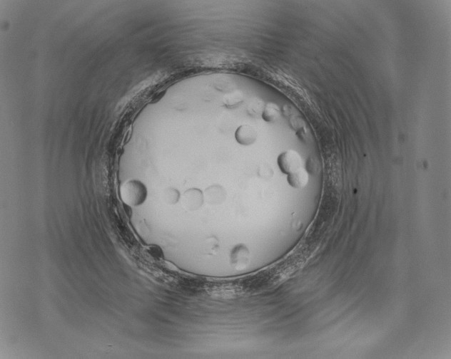 X0000072490587200608041418