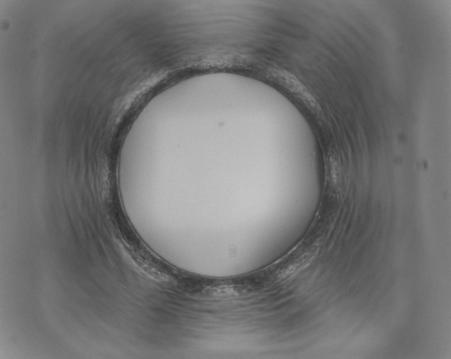 X0000072490588200608041418