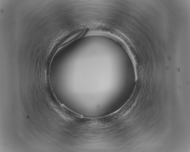 X0000072490589200608041418