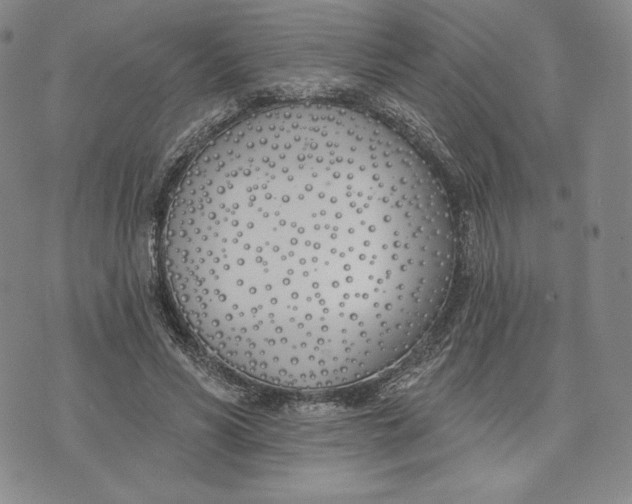 X0000072490590200608041418