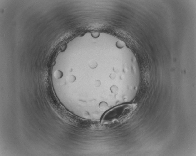 X0000072490591200608041418