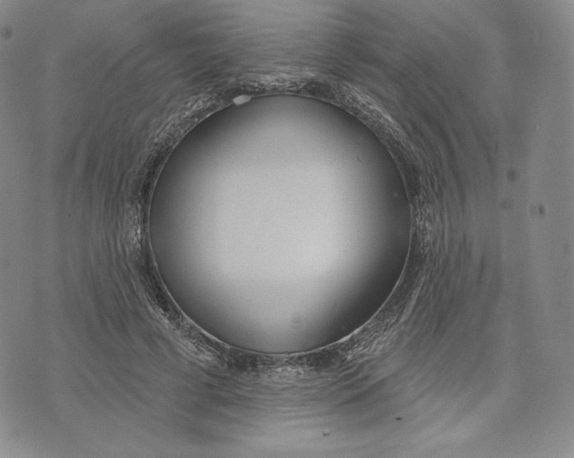 X0000072490593200608041418