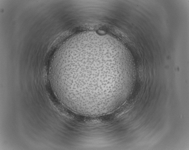 X0000072490594200608041418