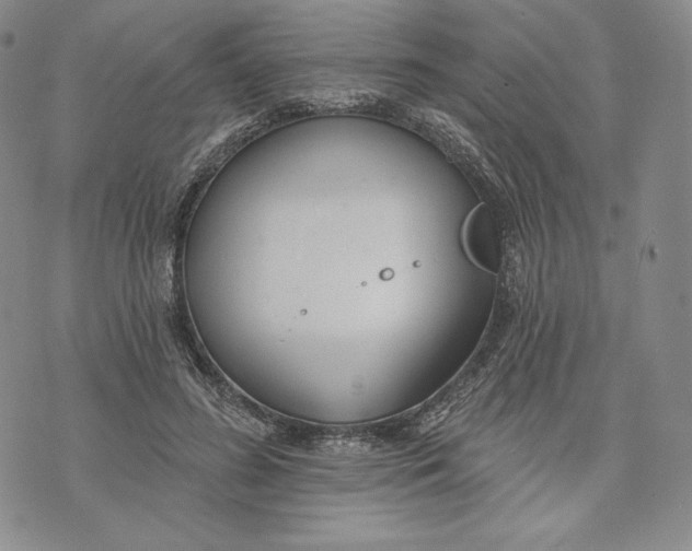 X0000072490596200608041418