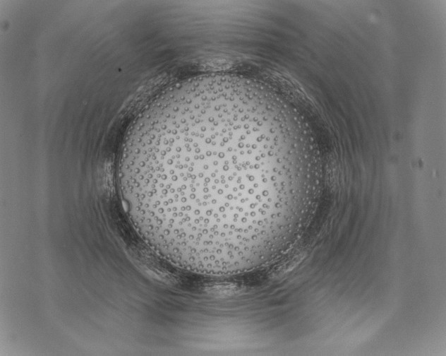 X0000072490598200608041418