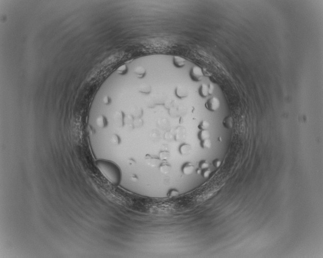 X0000072490599200608041418