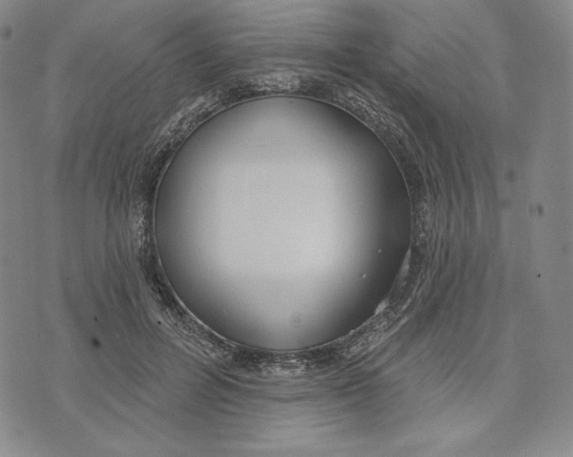 X0000072490600200608041418