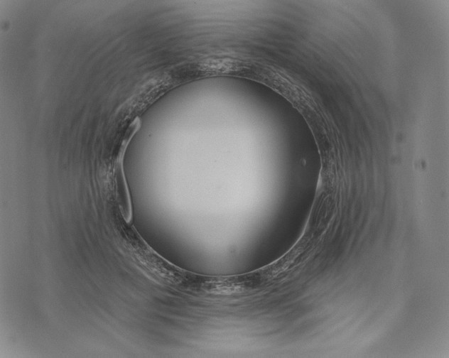 X0000072490601200608041418