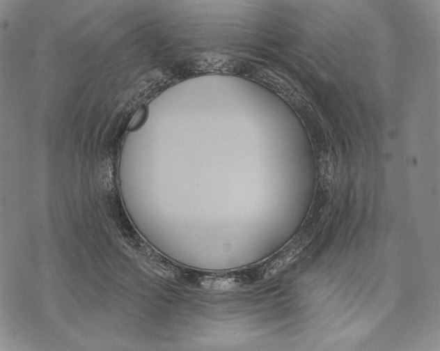 X0000072490602200608041418