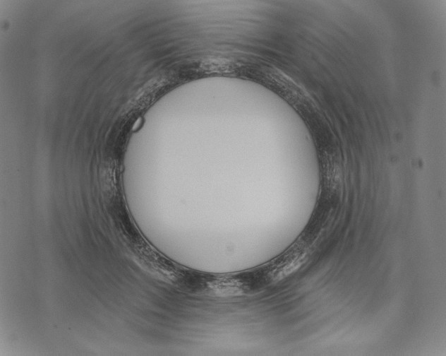 X0000072490603200608041418