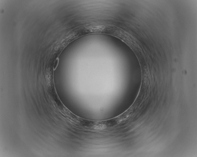 X0000072490604200608041418