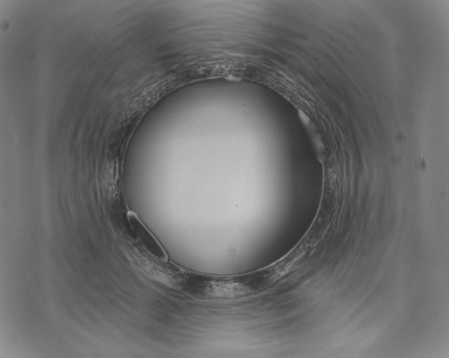 X0000072490605200608041418