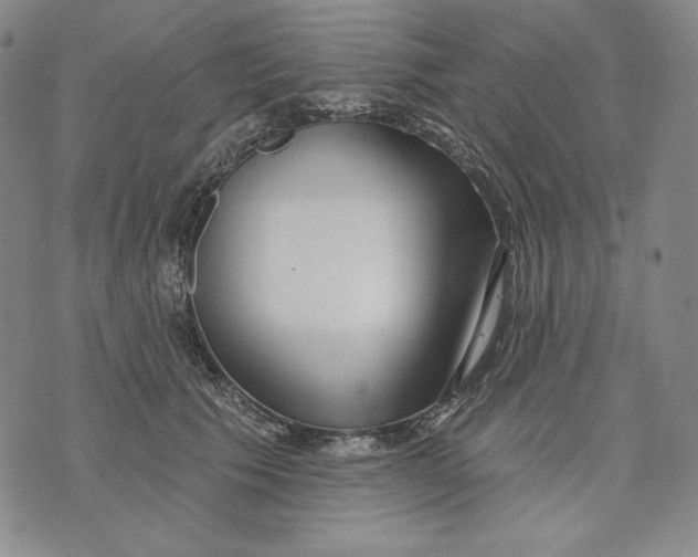 X0000072490609200608041418