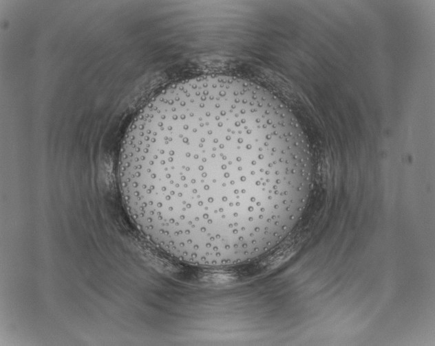 X0000072490610200608041418