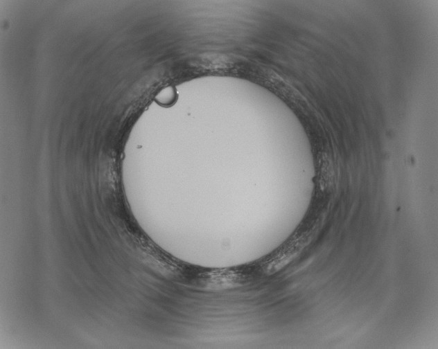 X0000072490612200608041418