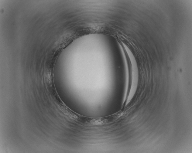 X0000072490613200608041418