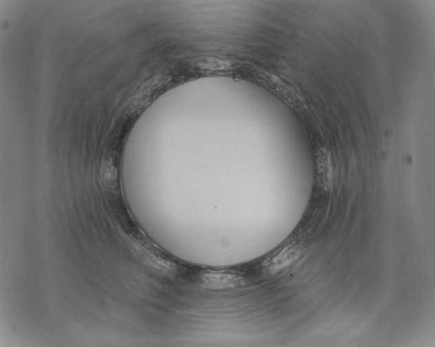 X0000072490614200608041418