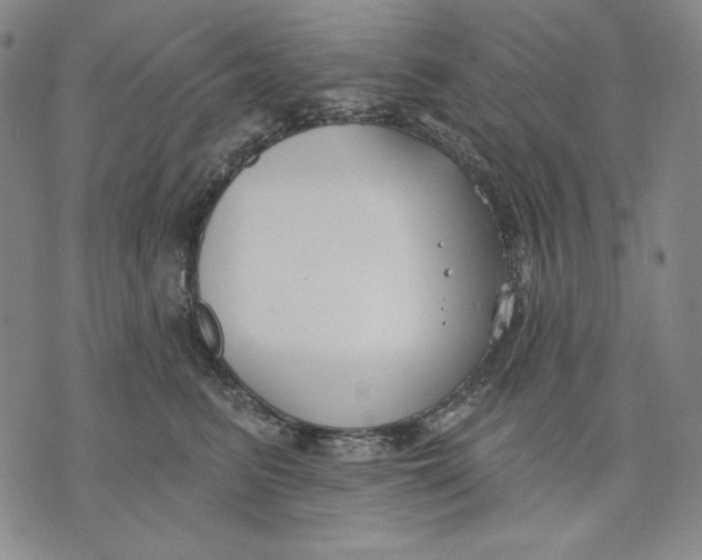 X0000072490615200608041418