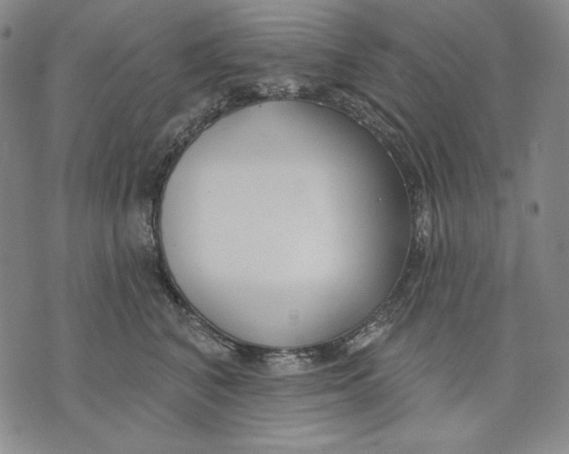 X0000072490616200608041417