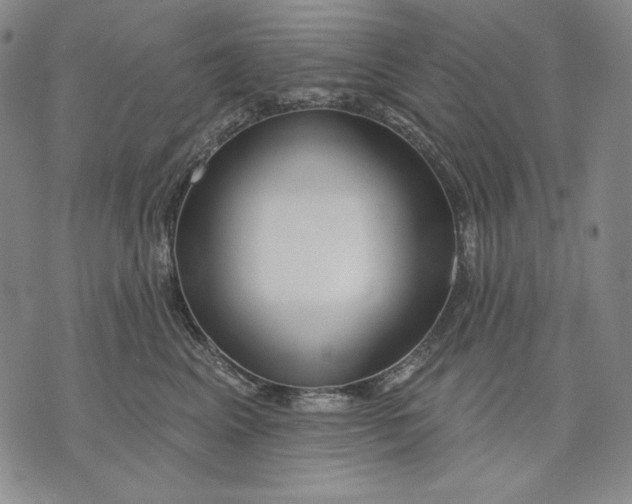 X0000072490617200608041417