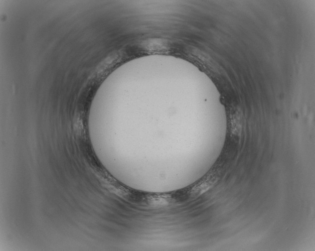 X0000072490618200608041417