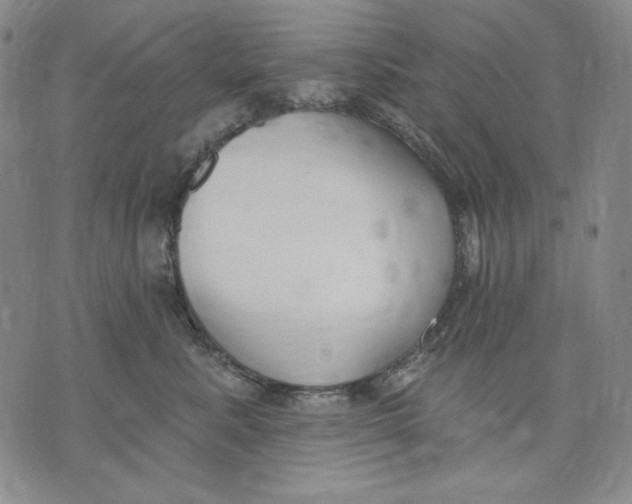 X0000072490619200608041417