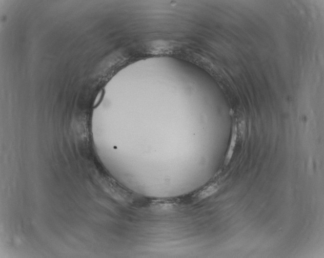 X0000072490620200608041417