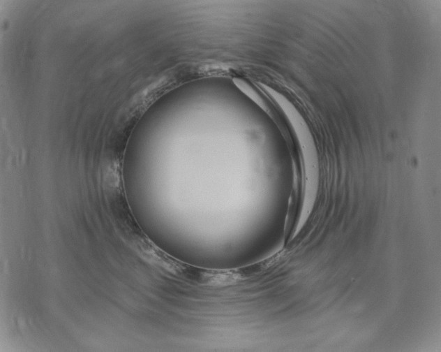 X0000072490621200608041417