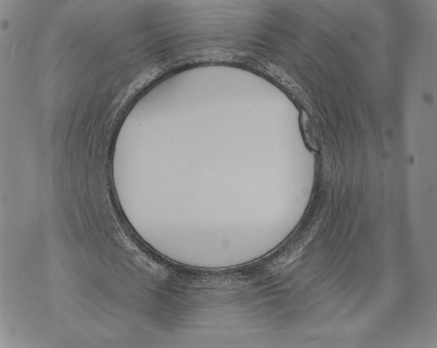 X0000072490625200608041417