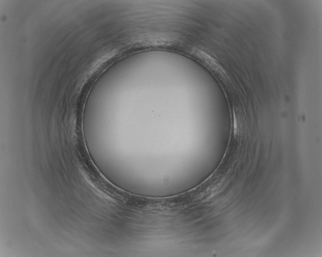 X0000072490627200608041417