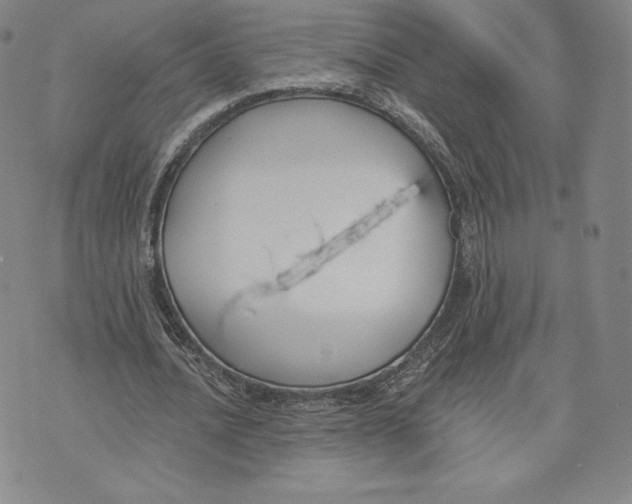 X0000072490628200608041417