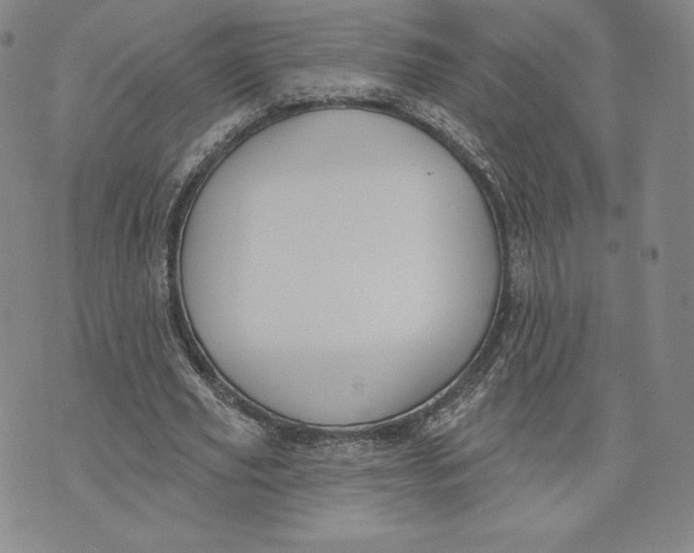 X0000072490629200608041417