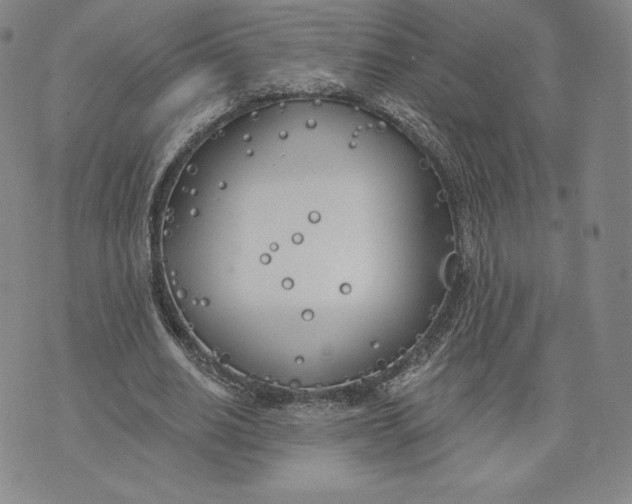 X0000072490630200608041417