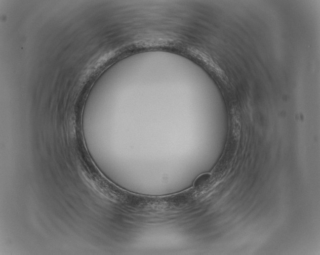 X0000072490631200608041417