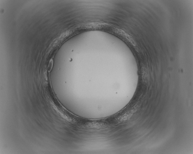 X0000072490633200608041417