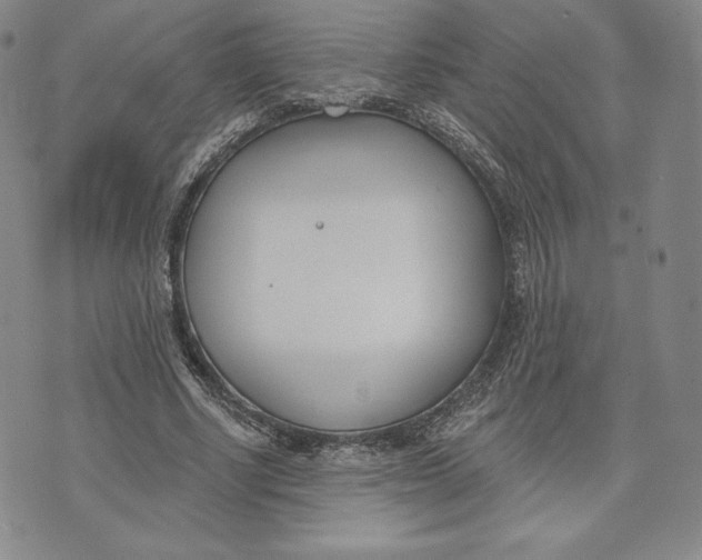 X0000072490634200608041417