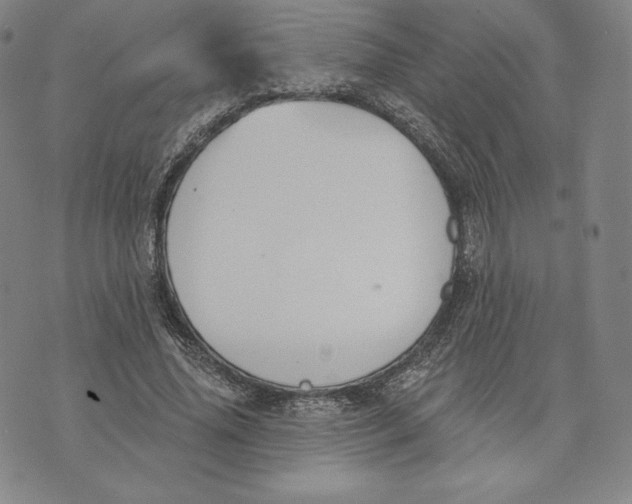 X0000072490636200608041417