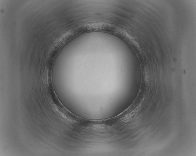 X0000072490637200608041417