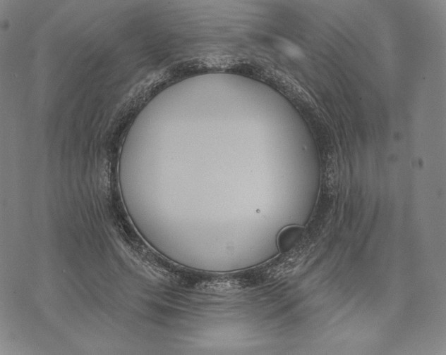 X0000072490639200608041417