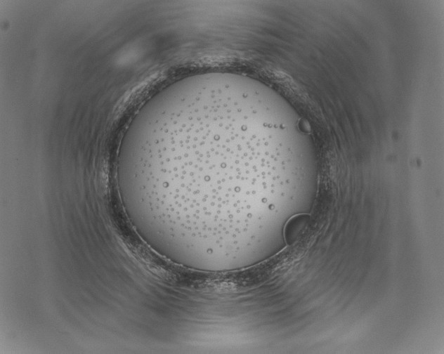 X0000072490640200608041417