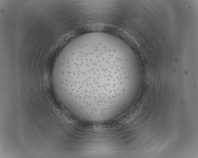 X0000072490641200608041417