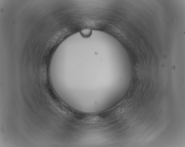 X0000072490642200608041417