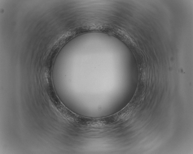 X0000072490643200608041417