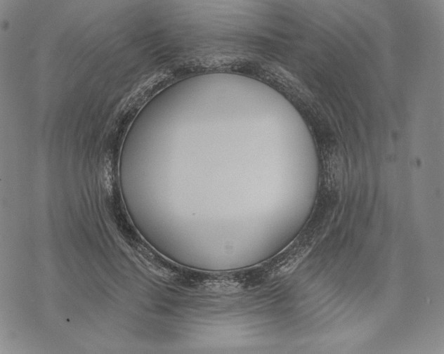 X0000072490644200608041417