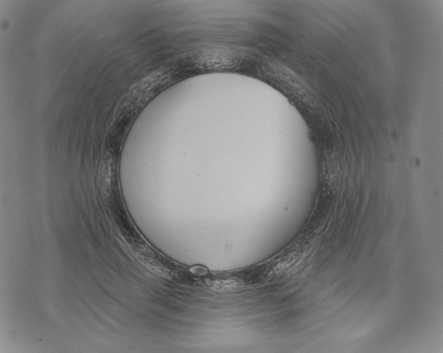 X0000072490645200608041417