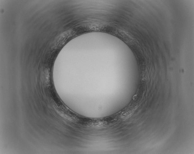 X0000072490646200608041417