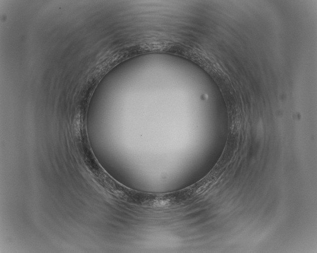 X0000072490647200608041417