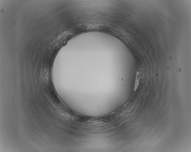 X0000072490648200608041417