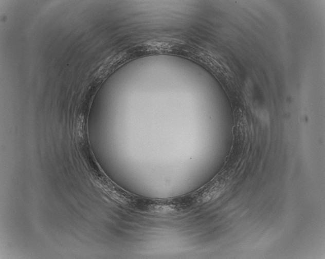 X0000072490649200608041417